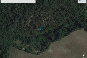 Circuit Lunas