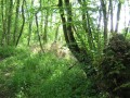 Course_Endurance_Cauneille_Quad_2007_16