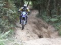 DCF 1.0