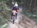DCF 1.0