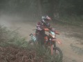 DCF 1.0