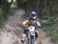 DCF 1.0