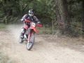 DCF 1.0