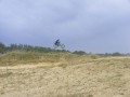 Entrainement_MX_Cauneille_2008_2
