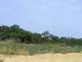 Entrainement_MX_Cauneille_2008_78