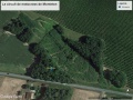Vue_Satellite_Monteton