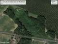 Vue_Satellite_Monteton_2019
