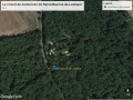 Vue_Satellite_Saint-Maurice-de-Lestapel_2013