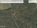 Vue_Satellite_Saint-Maurice-de-Lestapel_2021