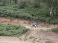 DCF 1.0