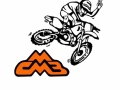 Logo_Brassy