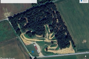 Circuit Mernel