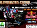 Affiche_MX_Bras-Panon_2012