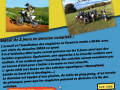 Affiche_MX_School-Rider_2015_6