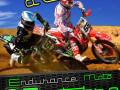 Affiche_Endurance_Chateau-d-Olonne_2013