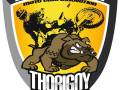 Logo_Thorigny_1