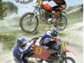 Affiche_MX_Bougneau_2011