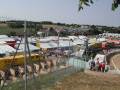 Saint-Jean-d-Angely-MX-Mondial_2005-15