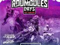 Affiche_MX_Roumoules_2020