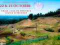 Affiche_MX_Pernes-les-Fontaines_2022_1